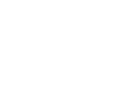 Falcona logo